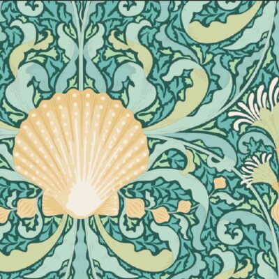 Scallop Shell Teal